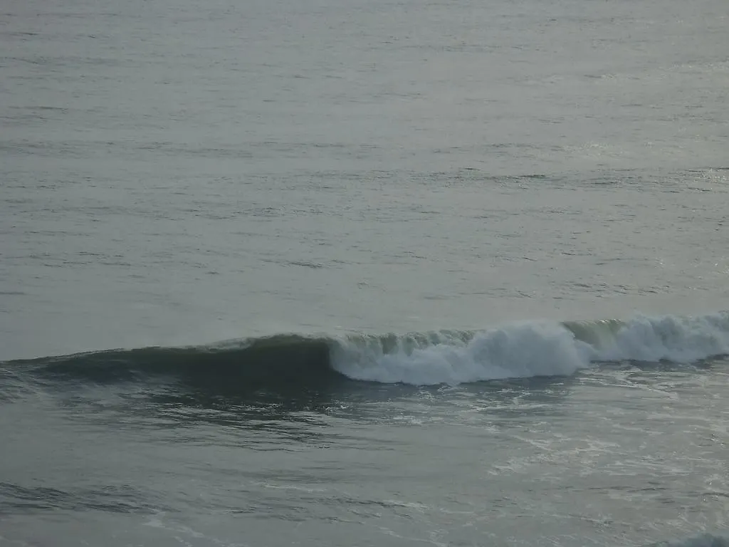 Gumnut Beach House Lejlighed Varkala 0*,  Indien